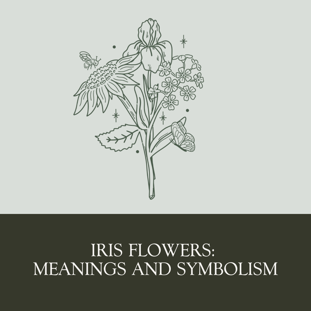 Iris Flowers: Meanings and Symbolism