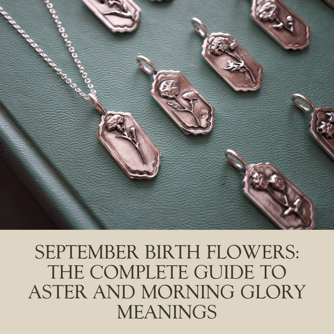 September Birth Flowers: The Complete Guide to Aster and Morning Glory Meanings