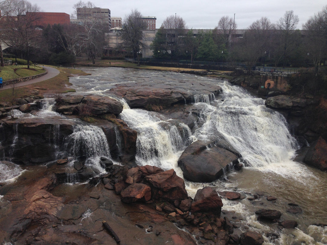 Adventures in Greenville, SC