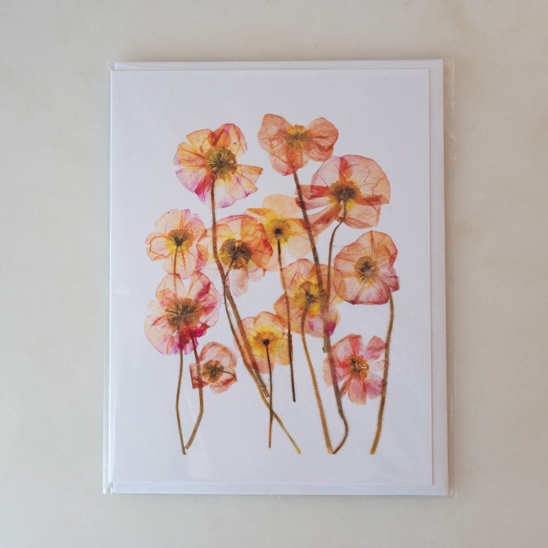 Pressed Flower Card - Red Poppy