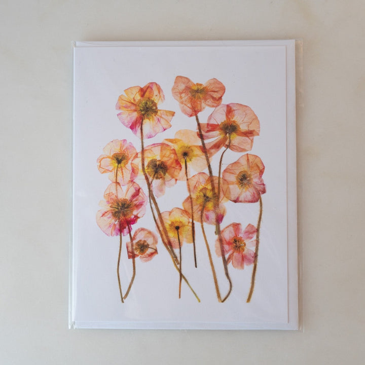 Pressed Flower Card - Red Poppy